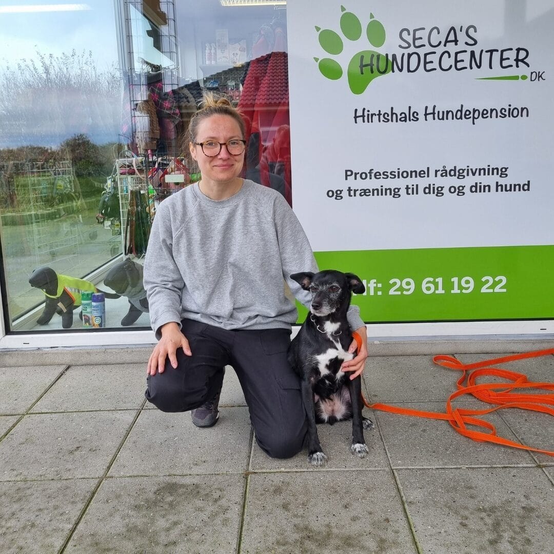 kontakt - Hirtshals Hundepension - 4 - Kontakt